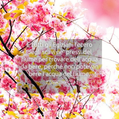 Picture 05 - Esodo 7:24 RIV - E tutti gli Egiziani fecero degli scavi ne’ - Bible Verse Picture