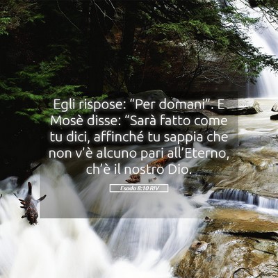 Picture 05 - Esodo 8:10 RIV - Egli rispose: “Per domani”. E Mosè disse: - Bible Verse Picture