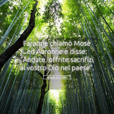 Picture 05 - Esodo 8:25 RIV - Faraone chiamò Mosè ed Aaronne e disse: - Bible Verse Picture