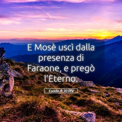 Picture 05 - Esodo 8:30 RIV - E Mosè uscì dalla presenza di Faraone, e pregò - Bible Verse Picture