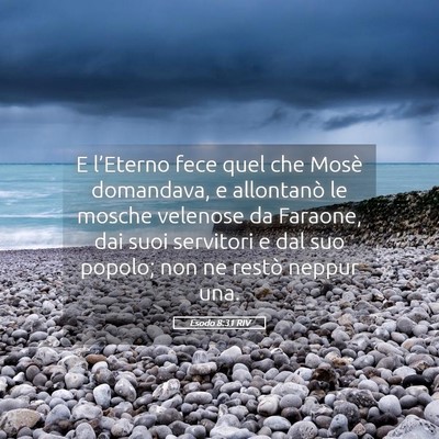 Picture 05 - Esodo 8:31 RIV - E l’Eterno fece quel che Mosè domandava, e - Bible Verse Picture