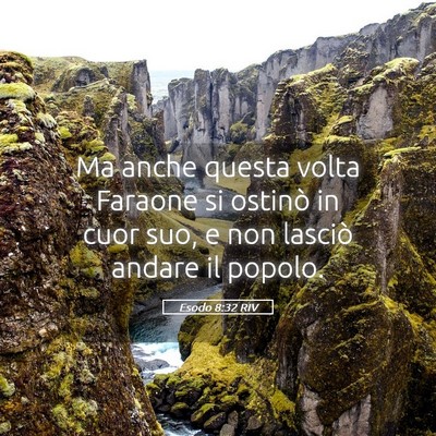 Picture 05 - Esodo 8:32 RIV - Ma anche questa volta Faraone si ostinò in cuor - Bible Verse Picture