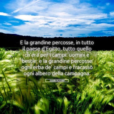 Picture 05 - Esodo 9:25 RIV - E la grandine percosse, in tutto il paese - Bible Verse Picture