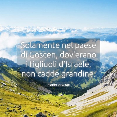 Picture 05 - Esodo 9:26 RIV - Solamente nel paese di Goscen, dov’erano i - Bible Verse Picture