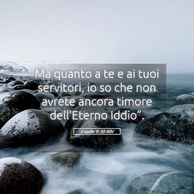Picture 05 - Esodo 9:30 RIV - Ma quanto a te e ai tuoi servitori, io so che non - Bible Verse Picture