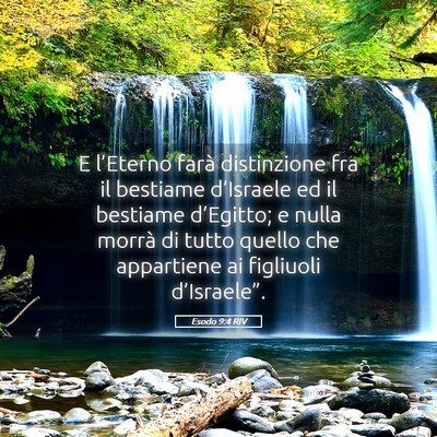 Picture 05 - Esodo 9:4 RIV - E l’Eterno farà distinzione fra il bestiame - Bible Verse Picture