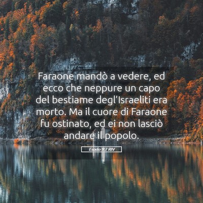 Picture 05 - Esodo 9:7 RIV - Faraone mandò a vedere, ed ecco che neppure un - Bible Verse Picture