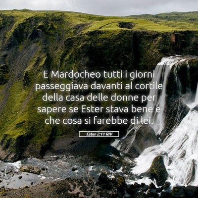 Picture 05 - Ester 2:11 RIV - E Mardocheo tutti i giorni passeggiava davanti al - Bible Verse Picture
