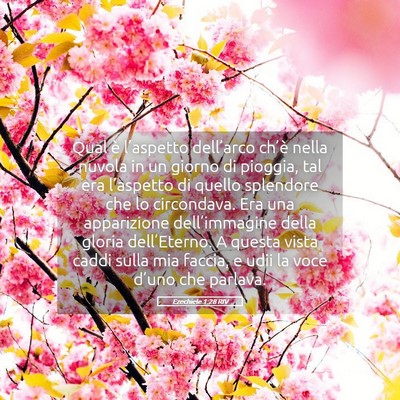 Picture 05 - Ezechiele 1:28 RIV - Qual è l’aspetto dell’arco ch’è nella - Bible Verse Picture