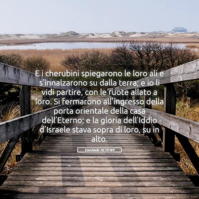 Picture 05 - Ezechiele 10:19 RIV - E i cherubini spiegarono le loro ali e - Bible Verse Picture
