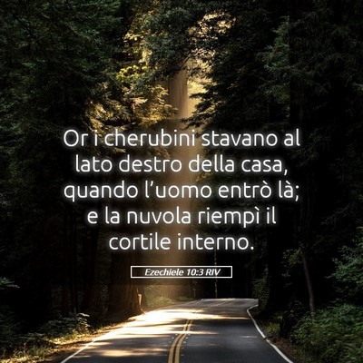 Picture 05 - Ezechiele 10:3 RIV - Or i cherubini stavano al lato destro della casa, - Bible Verse Picture