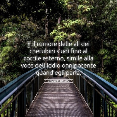 Picture 05 - Ezechiele 10:5 RIV - E il rumore delle ali dei cherubini s’udì fino - Bible Verse Picture
