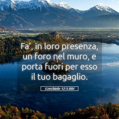Picture 05 - Ezechiele 12:5 RIV - Fa’, in loro presenza, un foro nel muro, e - Bible Verse Picture