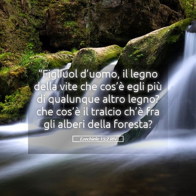 Picture 05 - Ezechiele 15:2 RIV - “Figliuol d’uomo, il legno della vite che - Bible Verse Picture