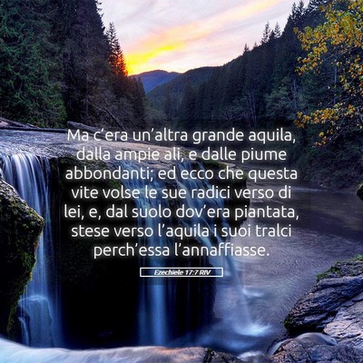 Picture 05 - Ezechiele 17:7 RIV - Ma c’era un’altra grande aquila, dalla ampie - Bible Verse Picture