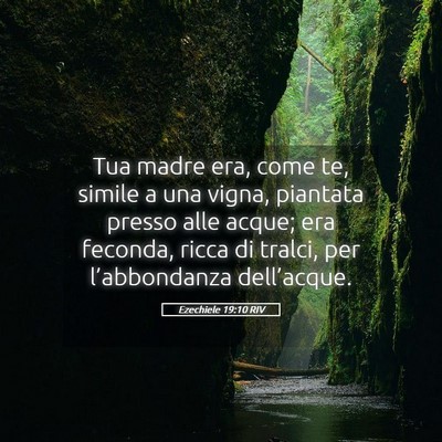 Picture 05 - Ezechiele 19:10 RIV - Tua madre era, come te, simile a una vigna, - Bible Verse Picture