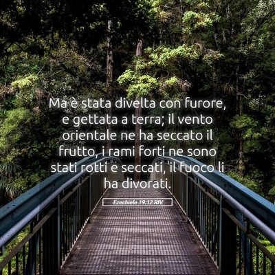 Picture 05 - Ezechiele 19:12 RIV - Ma è stata divelta con furore, e gettata a - Bible Verse Picture