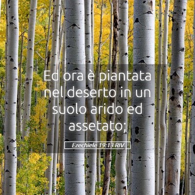 Picture 05 - Ezechiele 19:13 RIV - Ed ora è piantata nel deserto in un suolo arido - Bible Verse Picture