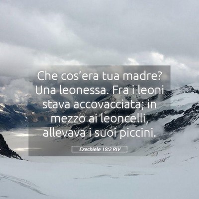 Picture 05 - Ezechiele 19:2 RIV - Che cos’era tua madre? Una leonessa. Fra i - Bible Verse Picture