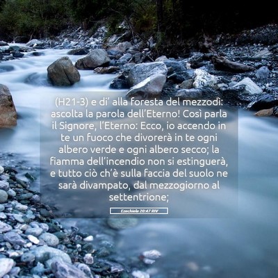 Picture 05 - Ezechiele 20:47 RIV - (H21-3) e di’ alla foresta del mezzodì: - Bible Verse Picture