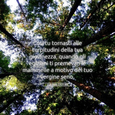 Picture 05 - Ezechiele 23:21 RIV - Così tu tornasti alle turpitudini della tua - Bible Verse Picture