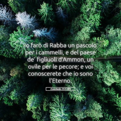 Picture 05 - Ezechiele 25:5 RIV - Io farò di Rabba un pascolo per i cammelli, e - Bible Verse Picture
