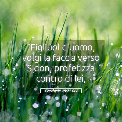 Picture 05 - Ezechiele 28:21 RIV - “Figliuol d’uomo, volgi la faccia verso - Bible Verse Picture
