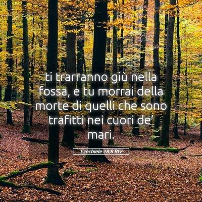 Picture 05 - Ezechiele 28:8 RIV - ti trarranno giù nella fossa, e tu morrai della - Bible Verse Picture