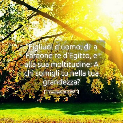 Picture 05 - Ezechiele 31:2 RIV - “Figliuol d’uomo, di’ a Faraone re - Bible Verse Picture