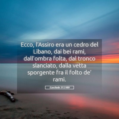 Picture 05 - Ezechiele 31:3 RIV - Ecco, l’Assiro era un cedro del Libano, dai bei - Bible Verse Picture