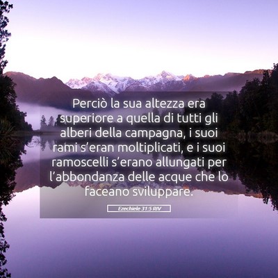 Picture 05 - Ezechiele 31:5 RIV - Perciò la sua altezza era superiore a quella di - Bible Verse Picture