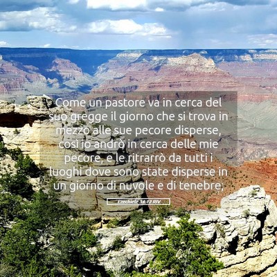Picture 05 - Ezechiele 34:12 RIV - Come un pastore va in cerca del suo gregge il - Bible Verse Picture