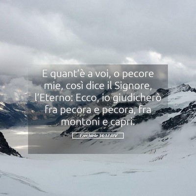 Picture 05 - Ezechiele 34:17 RIV - E quant’è a voi, o pecore mie, così dice il - Bible Verse Picture
