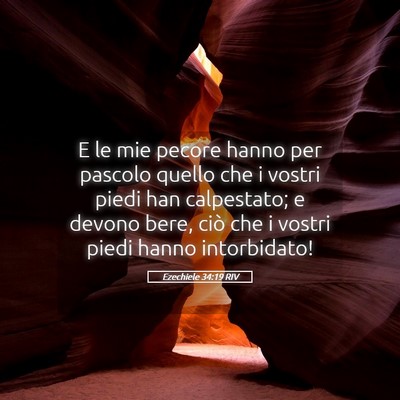 Picture 05 - Ezechiele 34:19 RIV - E le mie pecore hanno per pascolo quello che i - Bible Verse Picture