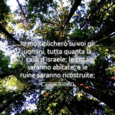 Picture 05 - Ezechiele 36:10 RIV - Io moltiplicherò su voi gli uomini, tutta quanta - Bible Verse Picture