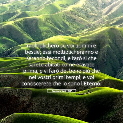 Picture 05 - Ezechiele 36:11 RIV - moltiplicherò su voi uomini e bestie; essi - Bible Verse Picture