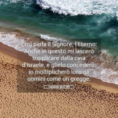 Picture 05 - Ezechiele 36:37 RIV - Così parla il Signore, l’Eterno: Anche in - Bible Verse Picture