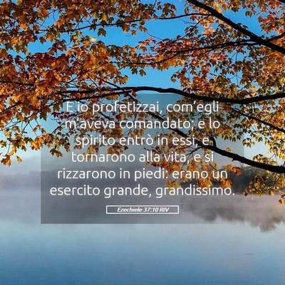 Picture 05 - Ezechiele 37:10 RIV - E io profetizzai, com’egli m’aveva comandato; - Bible Verse Picture