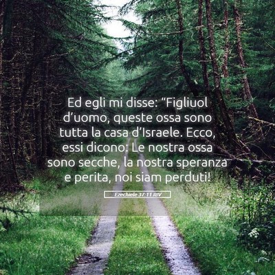 Picture 05 - Ezechiele 37:11 RIV - Ed egli mi disse: “Figliuol d’uomo, queste - Bible Verse Picture