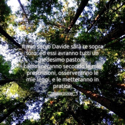 Picture 05 - Ezechiele 37:24 RIV - Il mio servo Davide sarà re sopra loro, ed essi - Bible Verse Picture