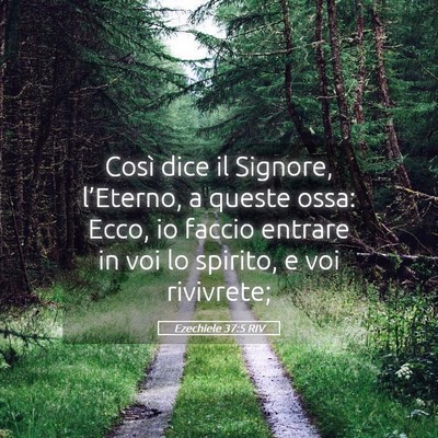 Picture 05 - Ezechiele 37:5 RIV - Così dice il Signore, l’Eterno, a queste ossa: - Bible Verse Picture