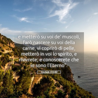 Picture 05 - Ezechiele 37:6 RIV - e metterò su voi de’ muscoli, farò nascere su - Bible Verse Picture