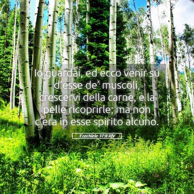 Picture 05 - Ezechiele 37:8 RIV - Io guardai, ed ecco venir su d’esse de’ - Bible Verse Picture