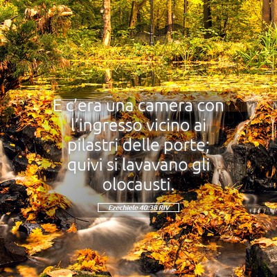 Picture 05 - Ezechiele 40:38 RIV - E c’era una camera con l’ingresso vicino ai - Bible Verse Picture