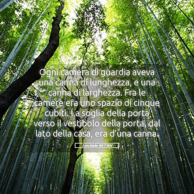 Picture 05 - Ezechiele 40:7 RIV - Ogni camera di guardia aveva una canna di - Bible Verse Picture