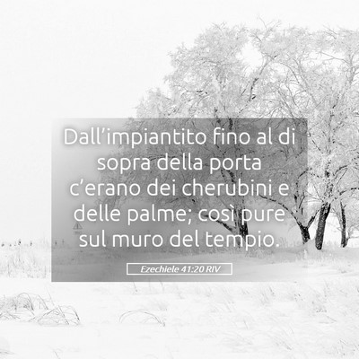 Picture 05 - Ezechiele 41:20 RIV - Dall’impiantito fino al di sopra della porta - Bible Verse Picture