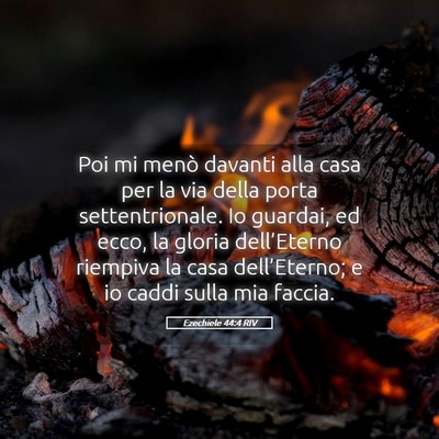 Picture 05 - Ezechiele 44:4 RIV - Poi mi menò davanti alla casa per la via della - Bible Verse Picture