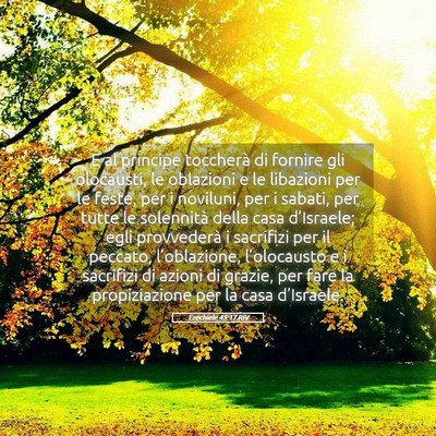Picture 05 - Ezechiele 45:17 RIV - E al principe toccherà di fornire gli olocausti, - Bible Verse Picture