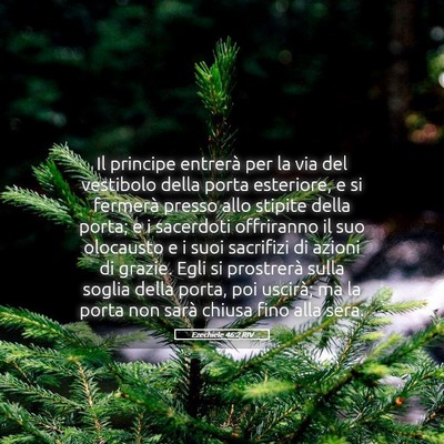 Picture 05 - Ezechiele 46:2 RIV - Il principe entrerà per la via del vestibolo - Bible Verse Picture