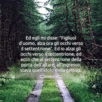 Picture 05 - Ezechiele 8:5 RIV - Ed egli mi disse: “Figliuol d’uomo, alza ora - Bible Verse Picture